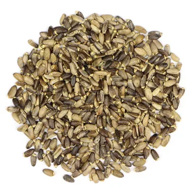 Бял трън (Milk Thistle, Silybum marianum (L.) Gaertn.)