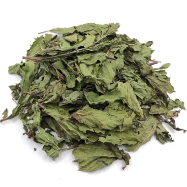 Мента (Peppermint, Mentha × piperita L.)