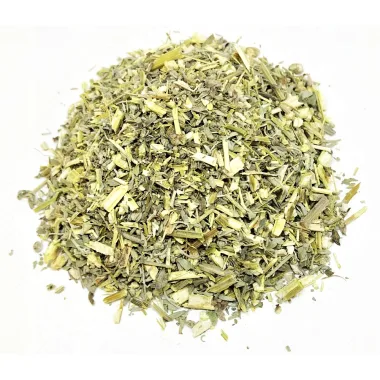 Обикновен пелин (Wormwood, Artemisia absinthium L.)