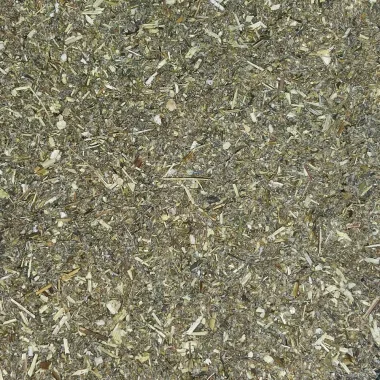 Див пелин (Mugwort, Artemisia vulgaris L.)