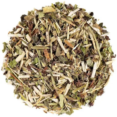 Betony (Betonica officinalis L.)