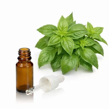 Етерично масло от босилек / Basil Essential Oil (Ocimum basilicum L.)