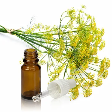Етерично масло от копър / Dill Seed Essential Oil (Anethum graveolens L.)