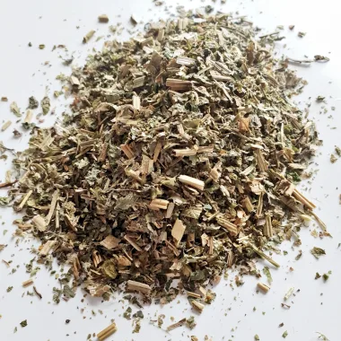 Greater Celandine (Chelidonium majus L.)