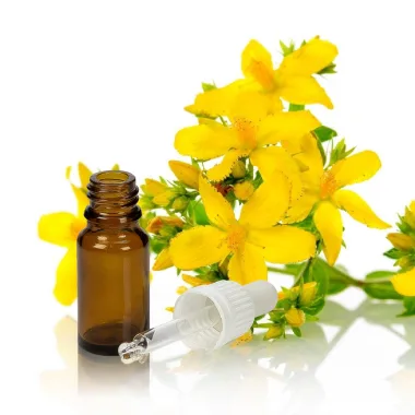 Етерично масло от жълт кантарион / St John’s Wort Essential Oil (Hypericum perforatum L.)
