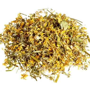 Yellow Sweet Clover (Melilotus officinalis (L.) Lam.)