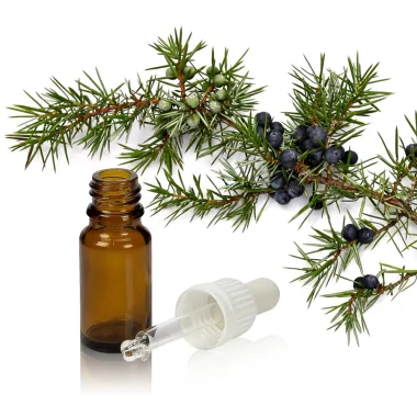 Етерично масло от хвойна / Common Juniper Essential Oil (Juniperus communis L.)