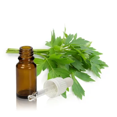 Етерично масло от девесил / Lovage Essential Oil (Levisticum officinale W.D.J.Koch)