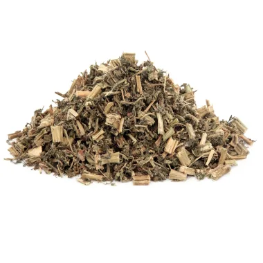 Motherwort (Leonurus cardiaca L.)