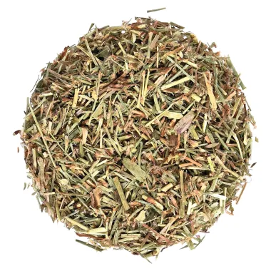 Knotgrass (Polygonum aviculare L.)