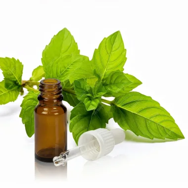 Етерично масло от мента / Peppermint Essential Oil (Mentha × piperita L.)