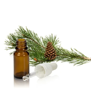 Етерично масло от бор / Scots Pine Essential Oil (Pinus sylvestris L.)