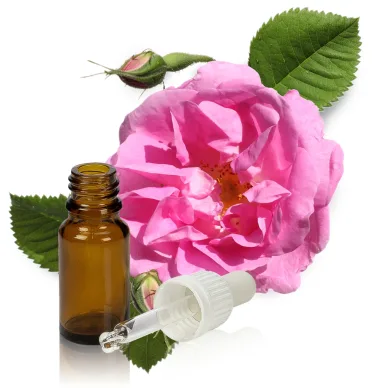 Етерично масло от роза Дамасцена / Rose Otto Essential Oil (Rosa × damascena Herrm.)