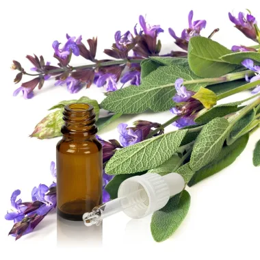 Етерично масло от салвия / Sage Essential Oil (Salvia officinalis L.)