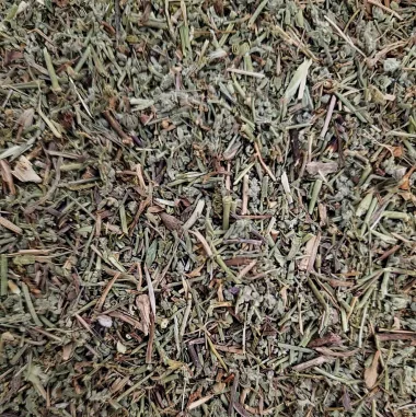 Rupturewort (Herniaria glabra L.)