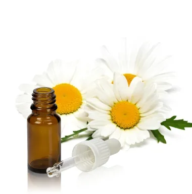 Feverfew Essential Oil (Tanacetum parthenium (L.) Sch.Bip.)