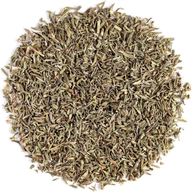 Wild Thyme (Thymus serpyllum L.)