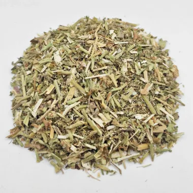 White Horehound (Marrubium vulgare L.)
