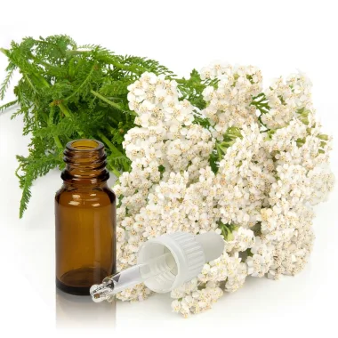 Етерично масло от бял равнец / Yarrow Essential Oil (Achillea millefolium L.)