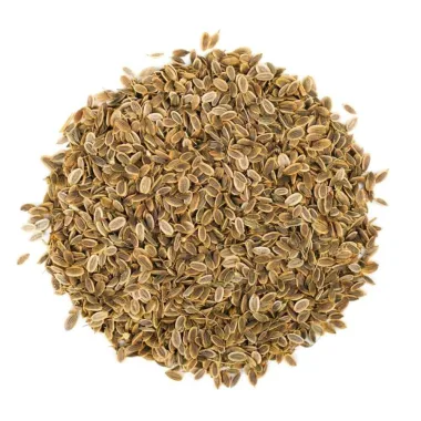 Копър (Dill, Anethum graveolens L.)