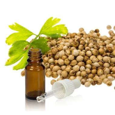 Етерично масло от кориандър / Coriander Seed Essential Oil (Coriandrum sativum L.)