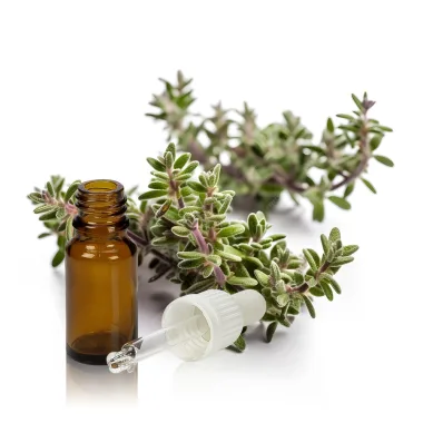 Thyme Essential Oil (Thymus spp.)