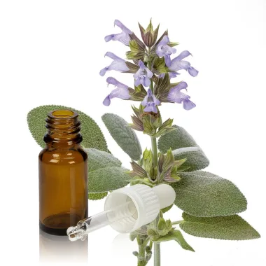 Етерично масло от салвия скларея / Clary Sage Essential Oil (Salvia sclarea L.)