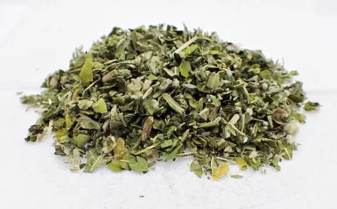 Лечебна ружа (Marshmallow, Althaea officinalis L.)