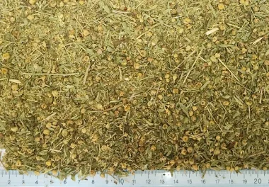 Tansy (Tanacetum vulgare L.) - Dried flowers and aerial parts