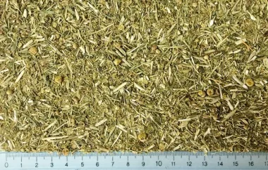 Tansy (Tanacetum vulgare L.) - Dried flowers and aerial parts