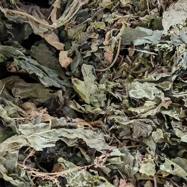 Коприва (Stinging Nettle, Urtica dioica L.) - сушен лист, стрък и корен