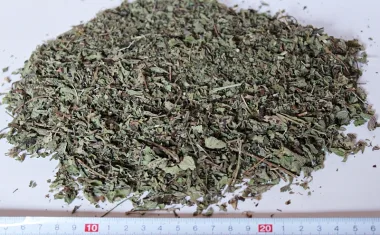 Коприва (Stinging Nettle, Urtica dioica L.) - сушен лист, стрък и корен