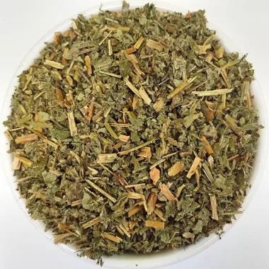 Agrimony (Agrimonia eupatoria L.)