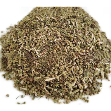 Сладък пелин (Sweet Wormwood, Artemisia annua L.)