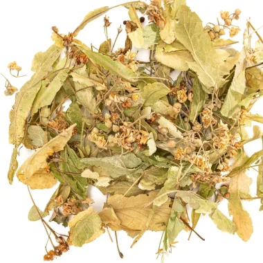Дребнолистна липа (Small-Leaved Linden, Tilia cordata Mill.)