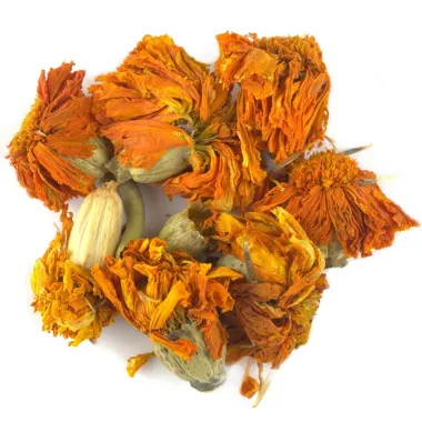 Турта (Mexican Marigold, Tagetes erecta L.)