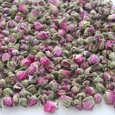 Маслодайна роза Дамасцена (Damask Rose, Rosa × damascena Mill.)