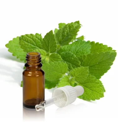 Етерично масло от маточина / Lemon Balm Essential Oil (Melissa officinalis L.)