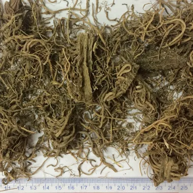 Дилянка (Valerian, Valeriana officinalis L.)