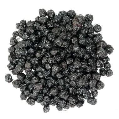 Black Chokeberry / Aronia Berry (Aronia melanocarpa (Michx.) Elliott)