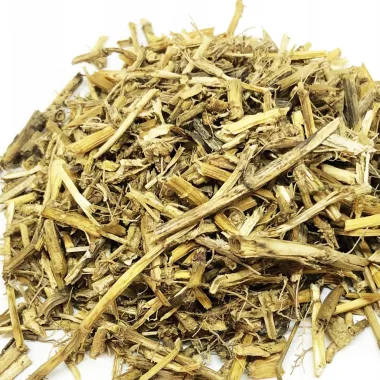 Bermuda Grass (Cynodon dactylon (L.) Pers.)