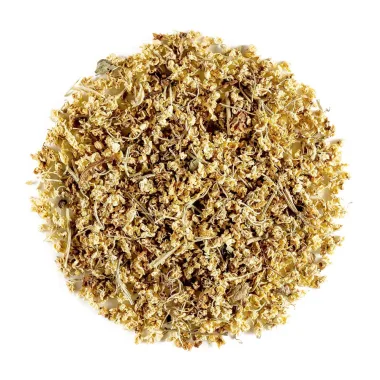 Черен бъз (Elderberry, Sambucus nigra L.)