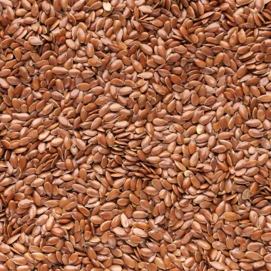 Ленено семе (Linseed, Linum usitatissimum L.)