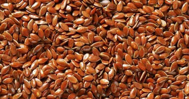 Linseed (Linum usitatissimum L.) - Wholesale Seeds