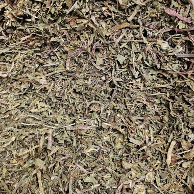 Глухарче (Dandelion, Taraxacum officinale L.)