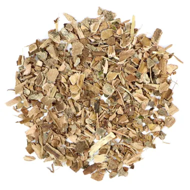 Common Hazel (Corylus avellana L.)