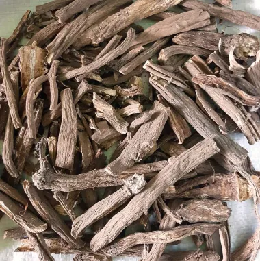 Burdock (Arctium lappa L.)