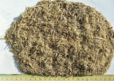 Burdock (Arctium lappa L.) - Dried roots