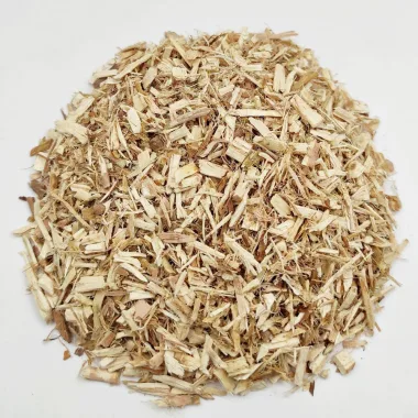 White Willow (Salix alba L.)