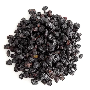 Dwarf Elder (Sambucus ebulus L.)